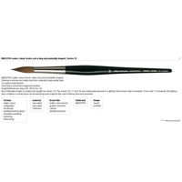 da Vinci Brush Series 35 Size 1