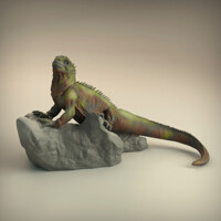 Marine Iguana 1/16 scale