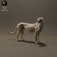 Cheetah 75mm