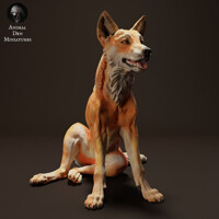 Dingo Sit 75mm