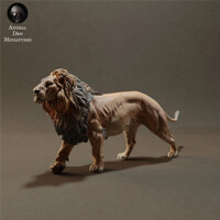 Lion 75mm (1/24 scale)