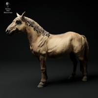 Horse 75mm (1/24 scale)