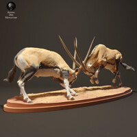 Súboj Oryxov 75mm (1/24 scale)
