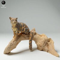 Leopard na Strome 75mm (1/24 scale)