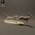 Cheetah Hunting Gazelle 75mm (1/24 scale)