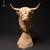 Highland Cow Bust